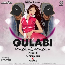 Gulabi Naina ( Remix ) - Dj Sidharth .mp3