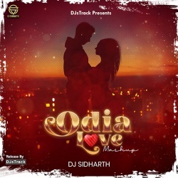 Odia Love Mashup ( Remix ) - Dj Sidharth .mp3