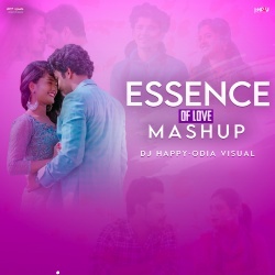 Essence Of Love Mashup - DJ Happy .mp3